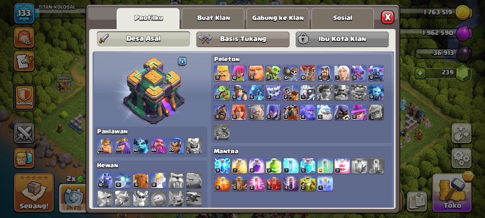 Desa coc